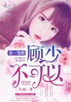 第一宠婚:顾少,不可以!