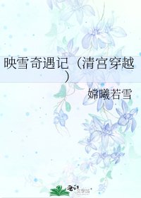 映雪奇遇记(清宫穿越)