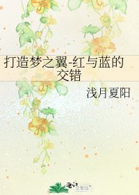 打造夢之翼-紅與藍的交錯
